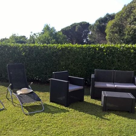 Apartmani Martincic Novigrad (Istria) Exterior foto