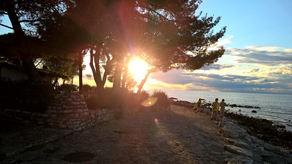 Apartmani Martincic Novigrad (Istria) Exterior foto