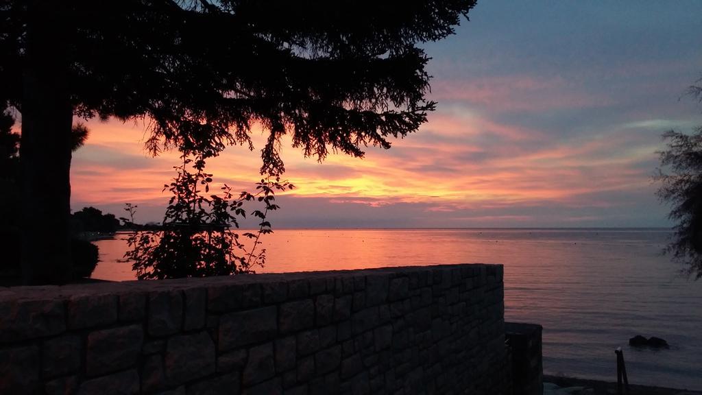 Apartmani Martincic Novigrad (Istria) Exterior foto